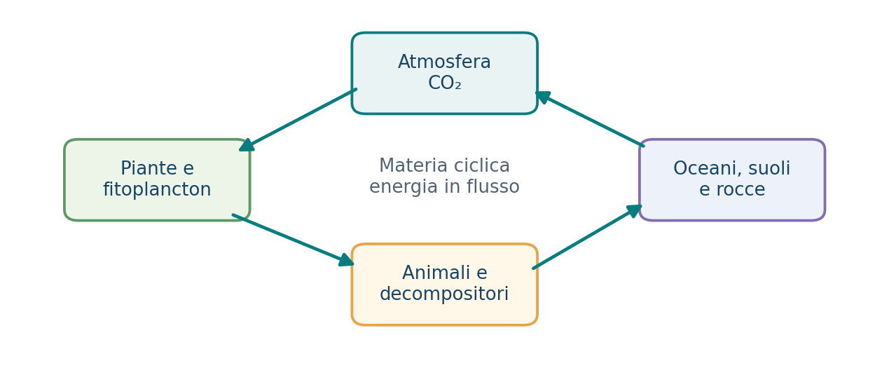 Principali flussi del ciclo del carbonio