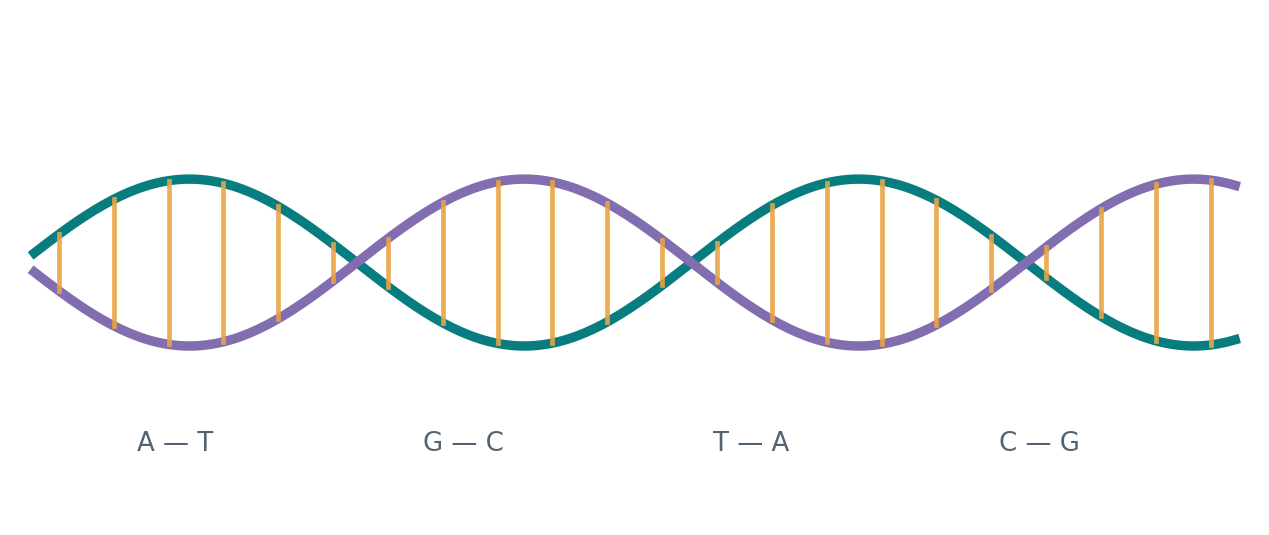 Doppia elica del DNA e complementarità delle basi