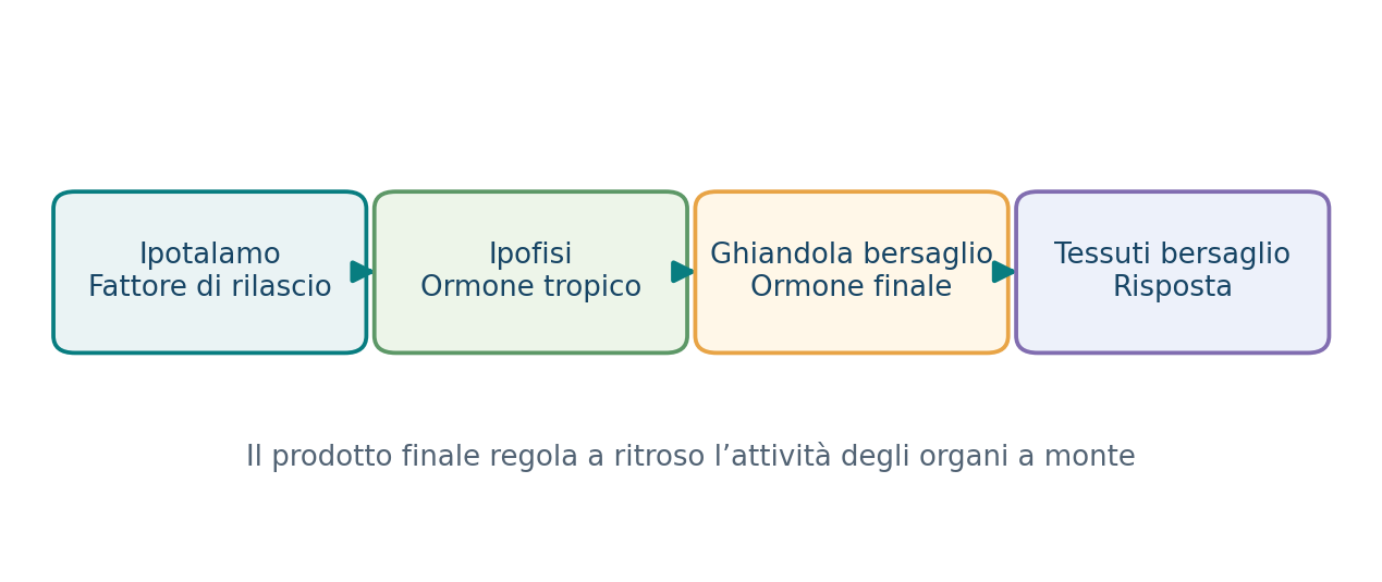 Esempio di asse endocrino a feedback negativo