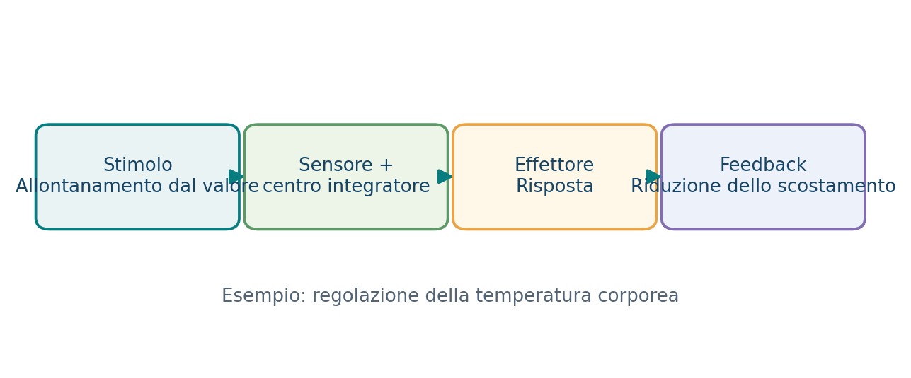 Un circuito di feedback negativo mantiene l’omeostasi