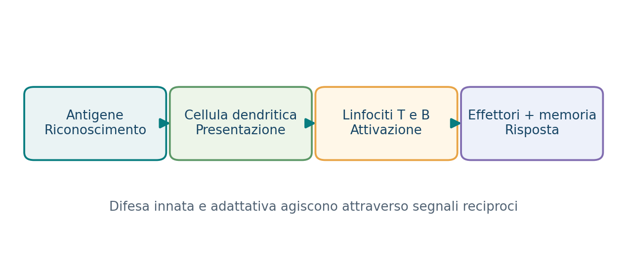 Risposta immunitaria: presentazione dell’antigene e cellule effettrici