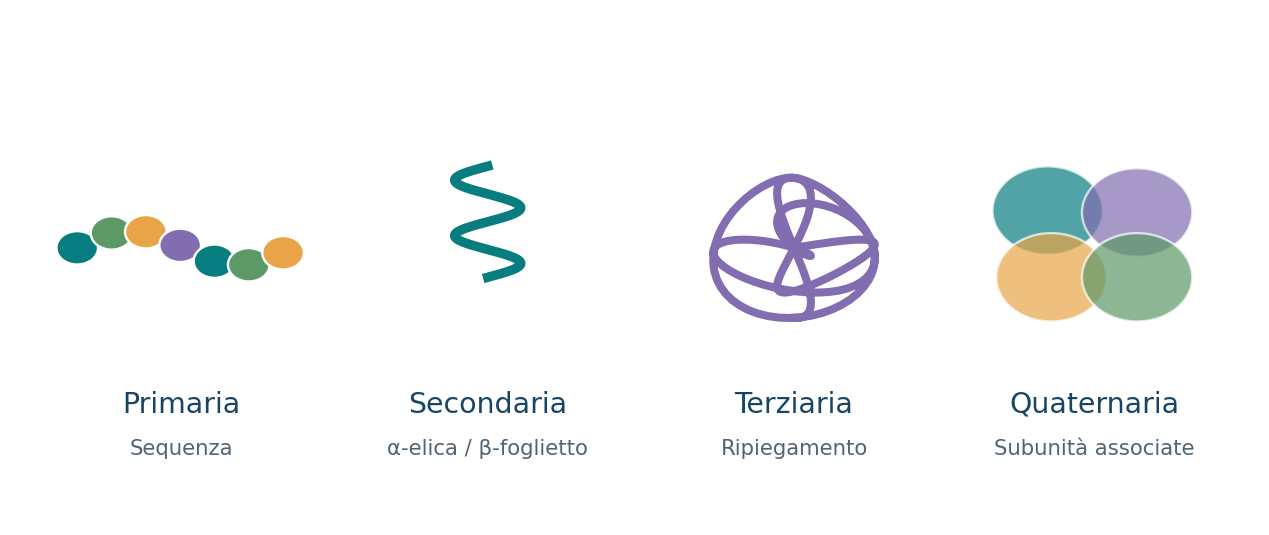 Quattro livelli di organizzazione delle proteine