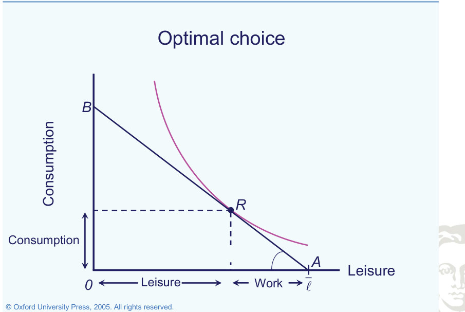 Consumo, tempo libero e tempo di lavoro ottimali.