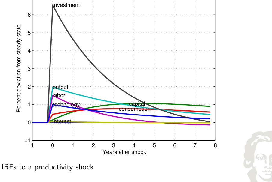 Risposte all'impulso combinate dopo uno shock di produttività.